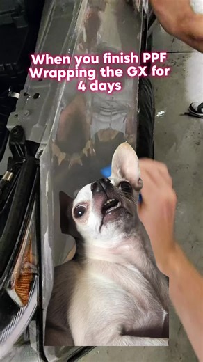 4 days deep into wrapping this GX and yeah… this is exactly how it feels 😂 People see the finished look, but not the hours, the patience, and the details that go into getting it right. If you’re gonna protect your car, make sure it’s done the right way—not the fast way. Riverside & Upland 📍 DM ‘PPF’ if you’re thinking about protecting your ride.”**