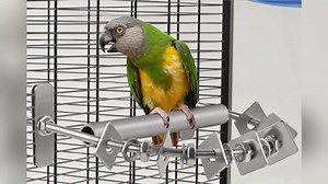 Parrot Chewing Toy, Long Lasting Stainless Steel Bird Perch with Durable Chew Parts for Large Birds Including Cockatiels, Macaws, and African Greys, for Cage Use