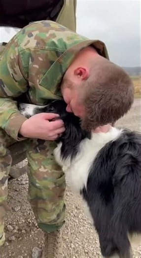 Dogs Reuniting With Military Owners After Deployment