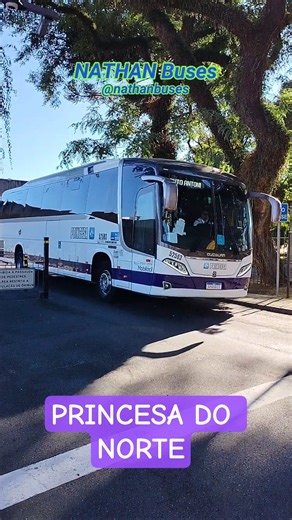 PRINCESA DO NORTE 52503 BUSSCAR VISSTA BUSS 340 #busologia #onibus #busscar #busologo #busão