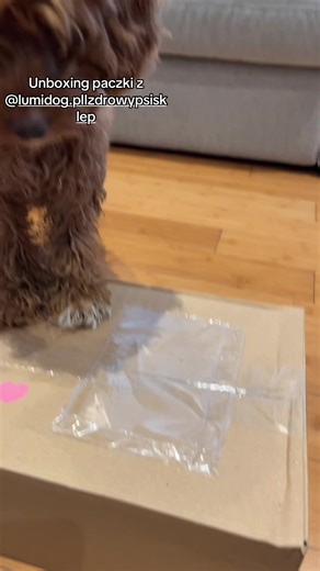 Topkiii @ᴍᴀᴛᴄʜᴀ @ᴍᴀʀʟᴇʏ!🤎 @🍃𝓜𝓸𝓵𝓵𝔂🍃 @🐶💋𝓢𝔃𝔂𝓼𝔃𝓴𝓪💋🐶 @Bora @🍃 ꜱᴋʏ & ʜᴇʟᴀ 🐾 @cassɪe🦦 @🐑😈𝓐𝓻𝓰𝓸😈🐑 @💥⚡️~Docent~⚡️💥 @💥⚡️~bueno~⚡️💥 @𝐊 𝐢 𝐥 𝐥 𝐞 𝐫 @🛒🐻‍❄️PAKO🐻‍❄️🛒 @𝐃 𝐄 𝐋 𝐓 𝐀 @𝐍𝐄𝐒𝐒𝐈𝐄 @˗ˏˋ🌼𝑴𝑰𝑳𝑳𝑨🌼ˎˊ˗ @𝓡𝓸𝓼𝓪&𝓐𝓻𝓮𝓼 #wybijsie #paczka #dla #buni #hah