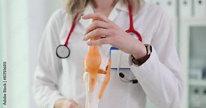 Anatomical model of the human knee joint in hands of traumatology