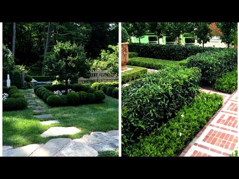 Transforming Outdoor Oasis:The Art of Beautiful Landscaping your Backyard/ Gardening ideas for home
