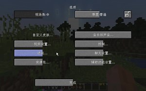 我的1.17发生什么事了？大家帮我解决一下