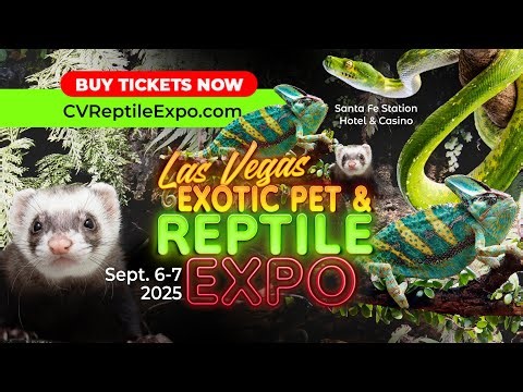 Las Vegas Exotic Reptile Expo - September 6-7, 2025 - Santa Fe Station, Las Vegas, NV