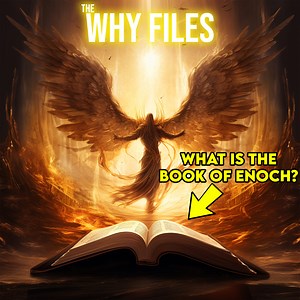 1.1M views · 26K reactions | Did Enoch Meet God Or Aliens? | The Why Files | Facebook