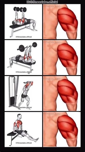 #trisaps #biceps #workout #desihomegym #gymworkout #motivation #trending #shortvideo