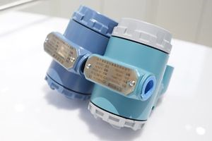 [Hot Item] Zy6000 Pressure Transmitter with Diverse Materials Which Has Industrial Adaptability