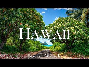 Hawaii 4K – Nature in Full Bloom with Hibiscus, Plumeria and Endless Ocean Beauty