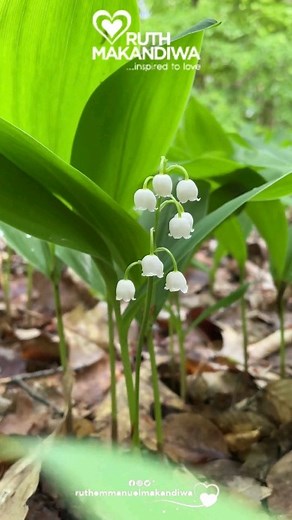 Ruth Makandiwa on Reels