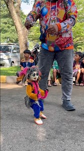 On Sunday, my father took me to play with string puppets 😍🤣