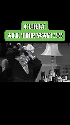 CURLY OR JOE???🤔 | Zach W. Arnold