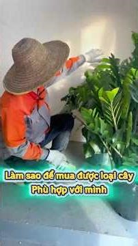 👉Bạn Đã Biết Chọn Cây Phù Hợp Với Mình Chưa?