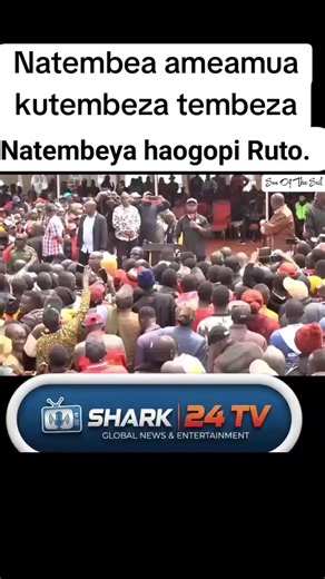 shark 24TV (@uncle.shark7)’s videos with original sound - shark 24TV
