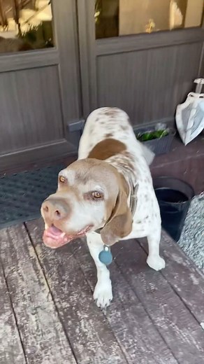 IMPROVER | Timmy Trumpet #beatbox | Instagram