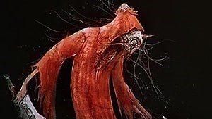 Scarlet Shadow | Lords of the Fallen Wiki