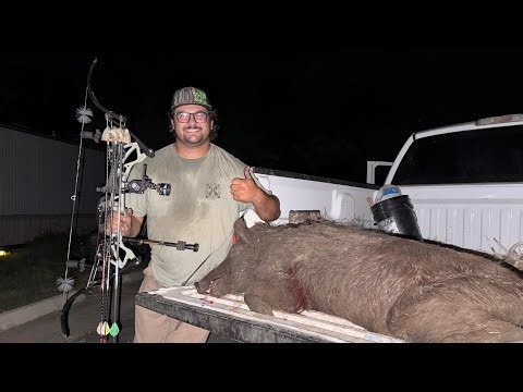 South Texas Archery Hog Hunt