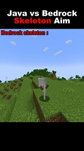 Java VS Bedrock Skeleton Aim!☠️ #minecraft #minecraftbuilds #minecraftmemes #minecraftmobs #fblifestyle #FacebookGaming #fbreels #everyonefollowers #mojang | Dude dans