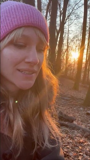 Identifying bird calls in spring 🌲🐦 | Why birds are so active in the morning