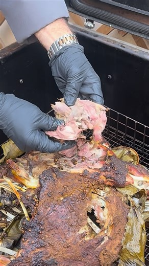 Top Tanoor on Instagram‎: "طبخنا هذا الخروف بوزن 17 كيلوجرام في توب تانور الجبل، بحجم الحفرة الحقيقي. يتغلق التانور بالكامل ويستخدم الحطب أو الفحم ليمنحك نكهة الحفرة الأصيلة، دخان عميق، طراوة مثالية، وتجربة الشوى كما يجب أن تكون 🔥🐑 #توب_تانور #الشوى #تنور #طبخ_تقليدي #مطبخ_عماني نار_وحطب نكهة_الحفرة شواء لحم_خروف We cooked this 17kg lamb in our popular pit-sized Top Tanoor Al Jabal. The tanoor fully seals and uses wood or charcoal to deliver true pit flavours — deep smoke, perfect tenderness, 