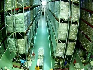 Warehouse Worker’s Worst Nightmare  (VIDEO)