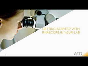 Steps for success with RNAscope Assay: Basic Training for New Users