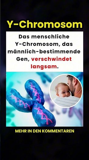 Verschwindet das menschliche Y-Chromosom langsam? 🧬🤔