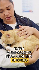 🎓 Free Veterinary CE Webinar