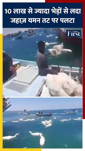 10 लाख से ज्यादा भेड़ों से लदा जहाज़ यमन तट पर पलटा! #viralvideo #worldnews #shorts