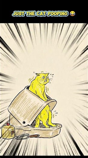 Moment cat pooping #funny #funnyvideos #memes #scribbling