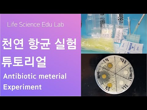 천연 항생물질 찾기 실험 (FInding natural Anti biotic material experiment for Student) 라이프 사이언스 에듀랩