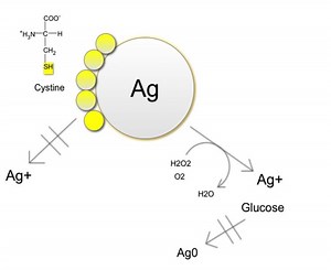 Oxidative dissolution of silver nanoparticles - Alchetron, the free social encyclopedia
