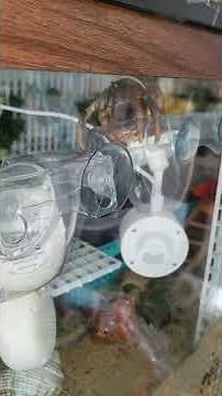 Sitting on the camera