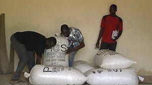 Storing and managing maize in a warehouse