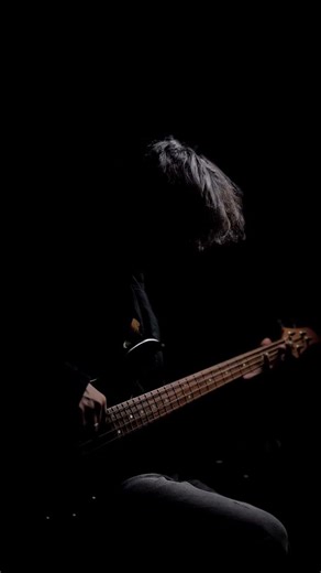 Walk this way | Bass cover | music cover