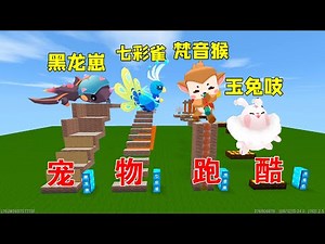 迷你世界：稀有宠物跑酷，终点有你从未见过的宠物，还能免费领养