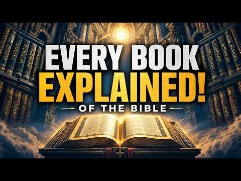 Every Book of the Bible Explained: The Complete Catholic Guide to Scripture