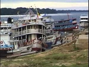 DISCUS FROM RIO NEGRO PT 1