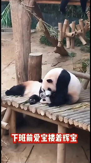 143K views · 7K reactions | 25.8.12 下班前爱宝对辉宝又抱又亲不愿松手，这是妈妈最后一次抱你，想要抱久一点。#睿宝辉宝 #爱宝双胞胎 | Cristian Zhang | Facebook