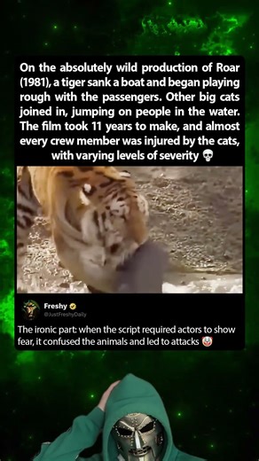 Roar (1981) was confusing for the tigers