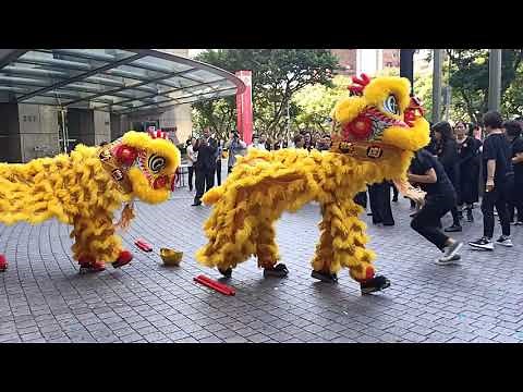 洪發國術龍獅團--舞龍舞獅表演