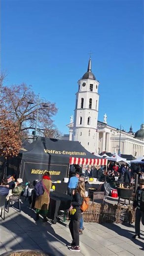 Vilnius Capital of Lithuania VID 20260307 135535
