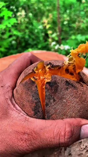 Benefits of Exotic Fruits You Need to Know