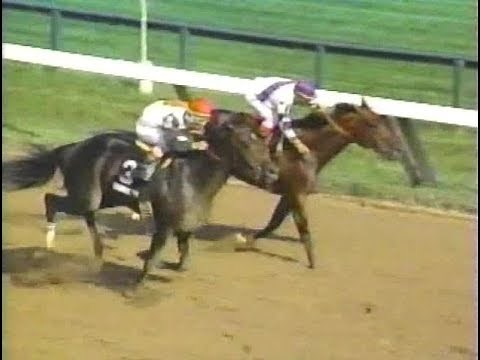1992 Jim Dandy Stakes