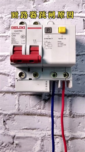 Causas del Disparo del Interruptor de Circuito