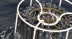 DNA can Aid Fish Species Surveys | Marine Science | Fish Focus