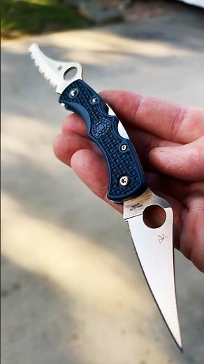 Spyderco Dyad Jr. SPY-27 Blue FRN Sprint Run C39P&SCBL #shorts #spyderco