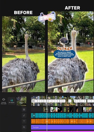 OPEN Jasa Edit Video, Foto, Voice Over by request⭐️ Jasa edit video tugas, vlog, clipper, endorse, edukasi, content creator dll Order? DM✨ Pricelist di bio🤩 #jasaeditvideo #jasaeditmurah #jasaeditvideomurah #editvideo #jasaedittugas