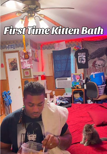 First Bath..getting flea medicine tomorrow for both babies #fypppp #kitty #cat #kitten #rescuekitten