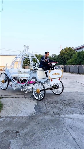 Classic princess pumpkin carriage ride with a modern twist #horsedrawncarriage #royalcoach #mustsee #Touristarraction #fypage #carriage #royalcarriage #carriagehorse #weddingscarriage #luxuryonwheels #viralvideos | Hengyisheng Vehicle